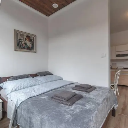 Duszniki-zdroj Przytulny Z Tarasem Διαμέρισμα Duszniki Zdrój