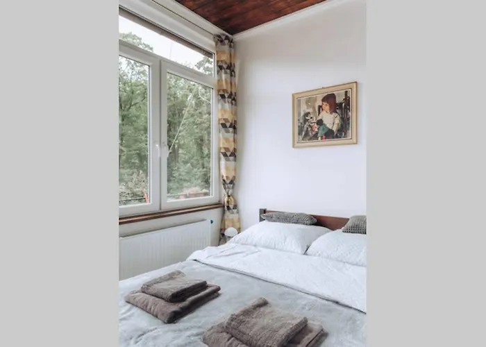 Apartment Duszniki-zdroj Przytulny Z Tarasem Duszniki Zdroj